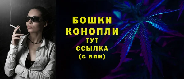тгк Касимов