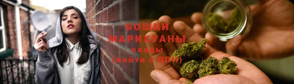 тгк Касимов