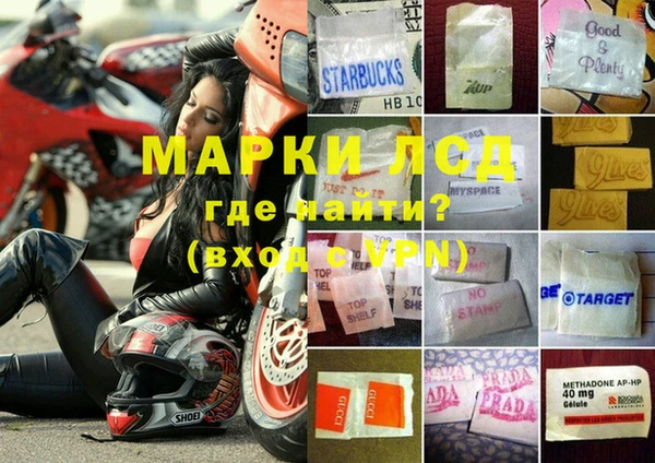 стафф Карталы